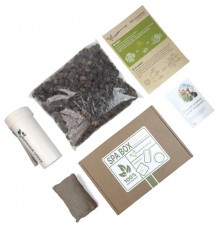 SPA-Box Мыльные орехи, 500 г