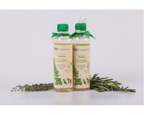 Шампунь для жирных у корней и сухих на кончиках "Очищение и нормализация", 250мл