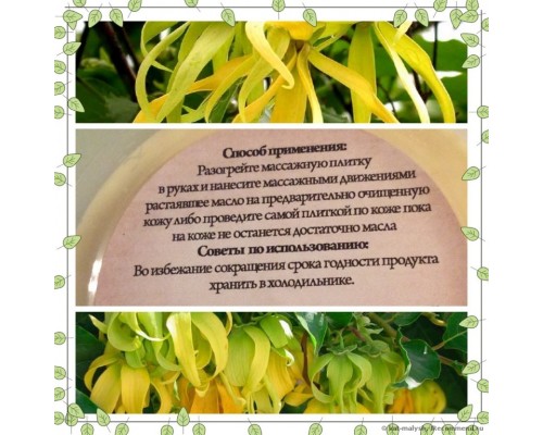 Массажная плитка Иланг-Иланг купить в Минске